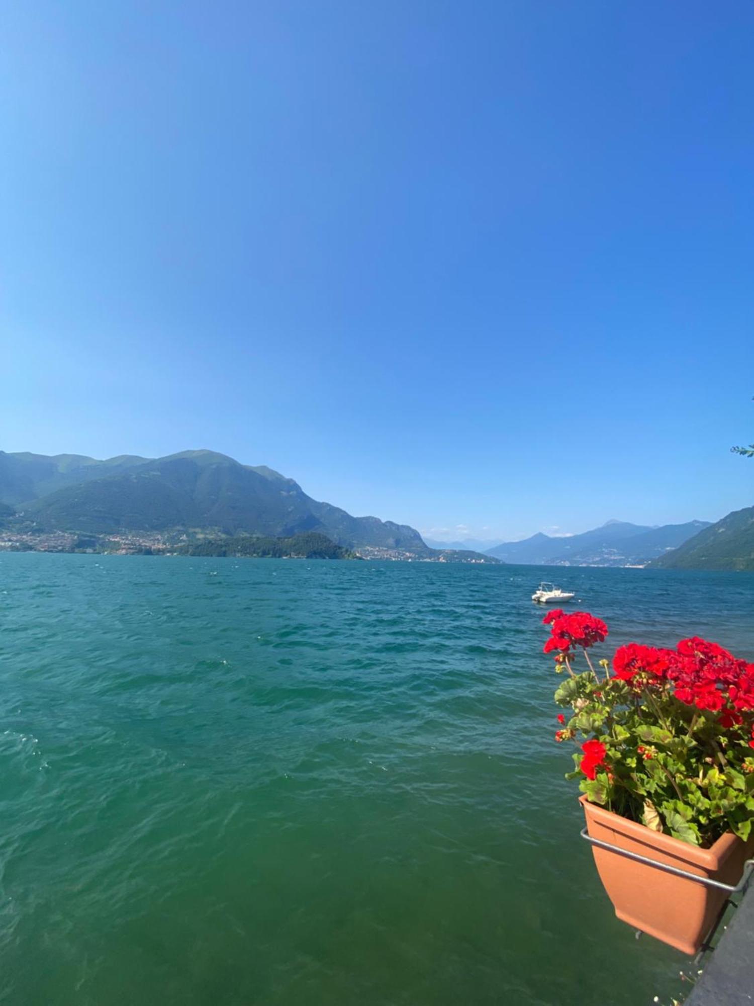 Peonia Apartment - Appartamento Vista Lago Lezzeno Kültér fotó