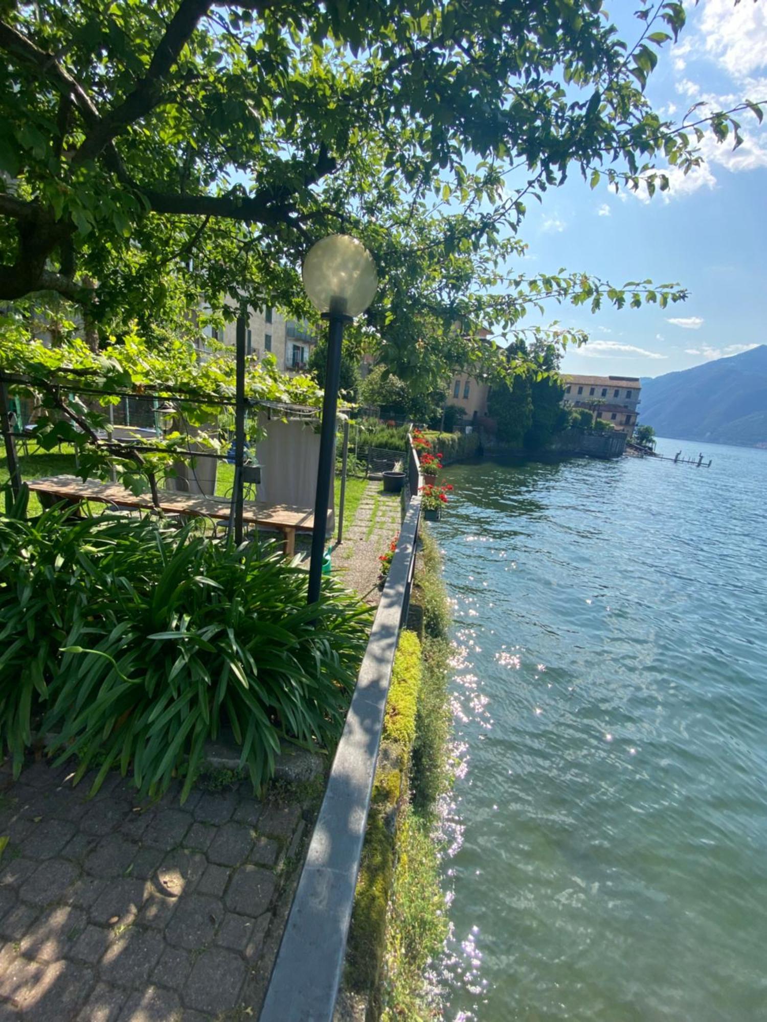 Peonia Apartment - Appartamento Vista Lago Lezzeno Kültér fotó