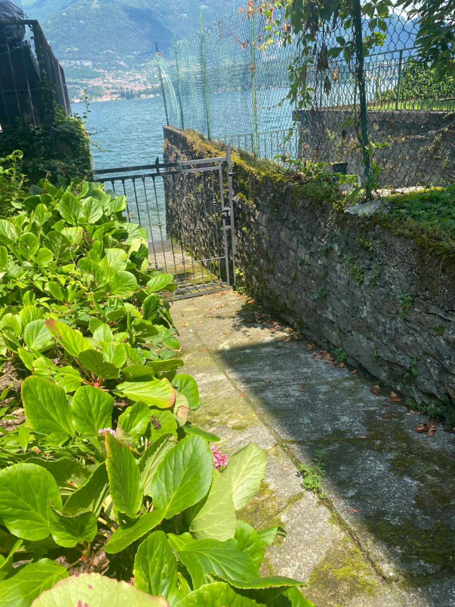 Peonia Apartment - Appartamento Vista Lago Lezzeno Kültér fotó