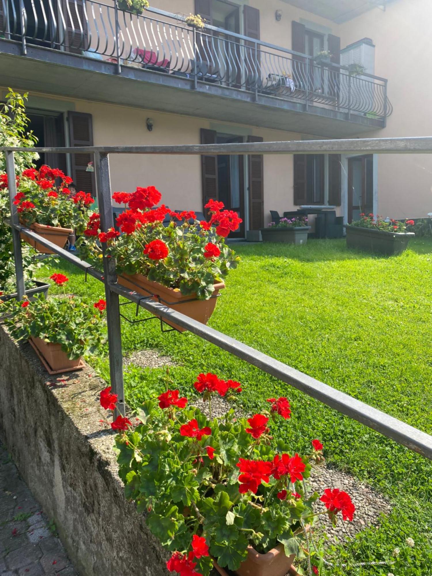 Peonia Apartment - Appartamento Vista Lago Lezzeno Kültér fotó