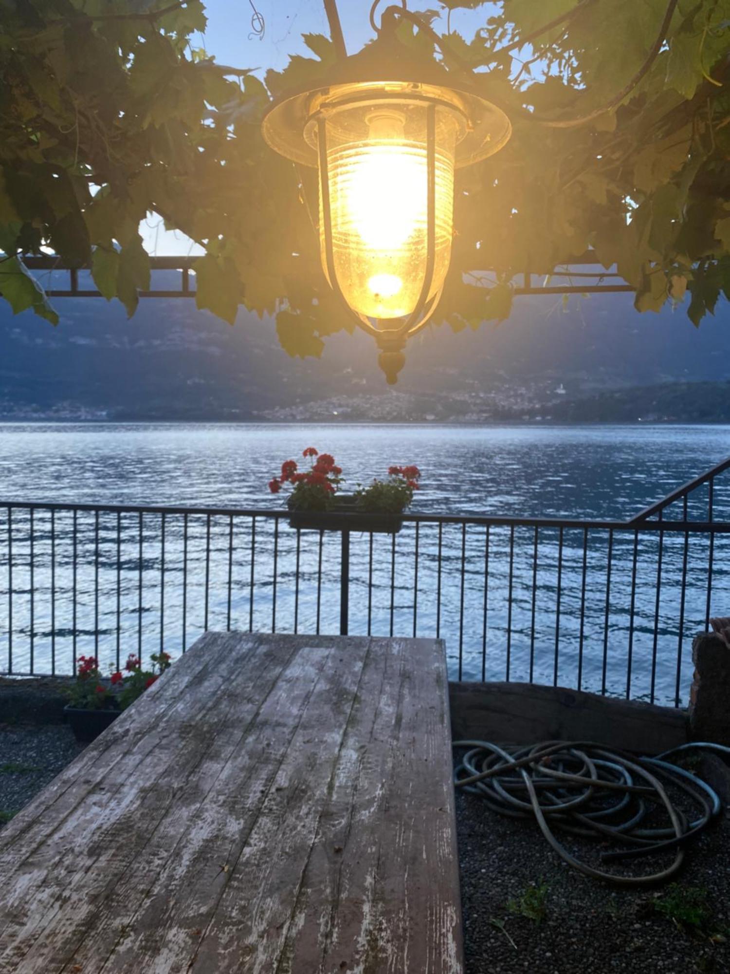 Peonia Apartment - Appartamento Vista Lago Lezzeno Kültér fotó