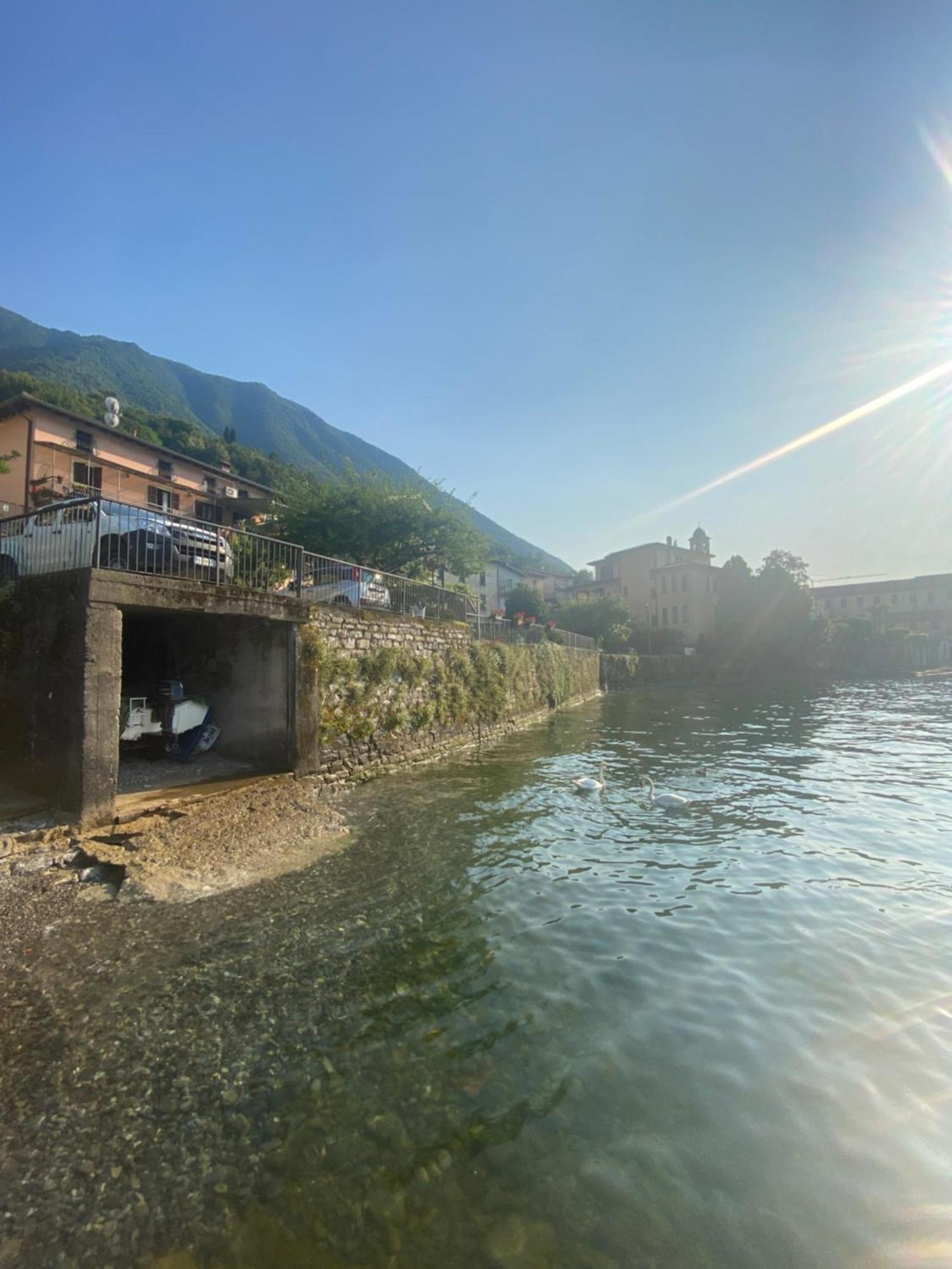 Peonia Apartment - Appartamento Vista Lago Lezzeno Kültér fotó