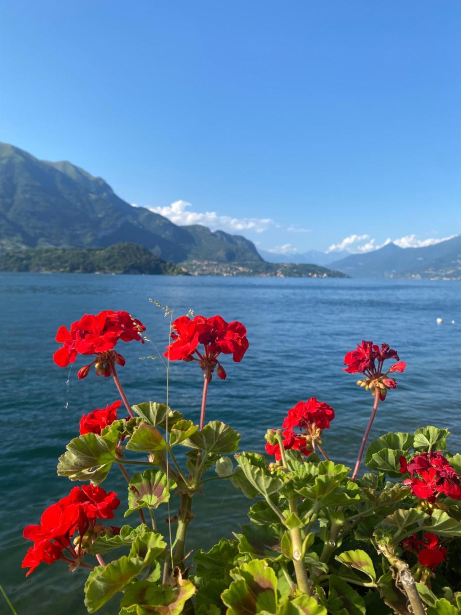 Peonia Apartment - Appartamento Vista Lago Lezzeno Kültér fotó