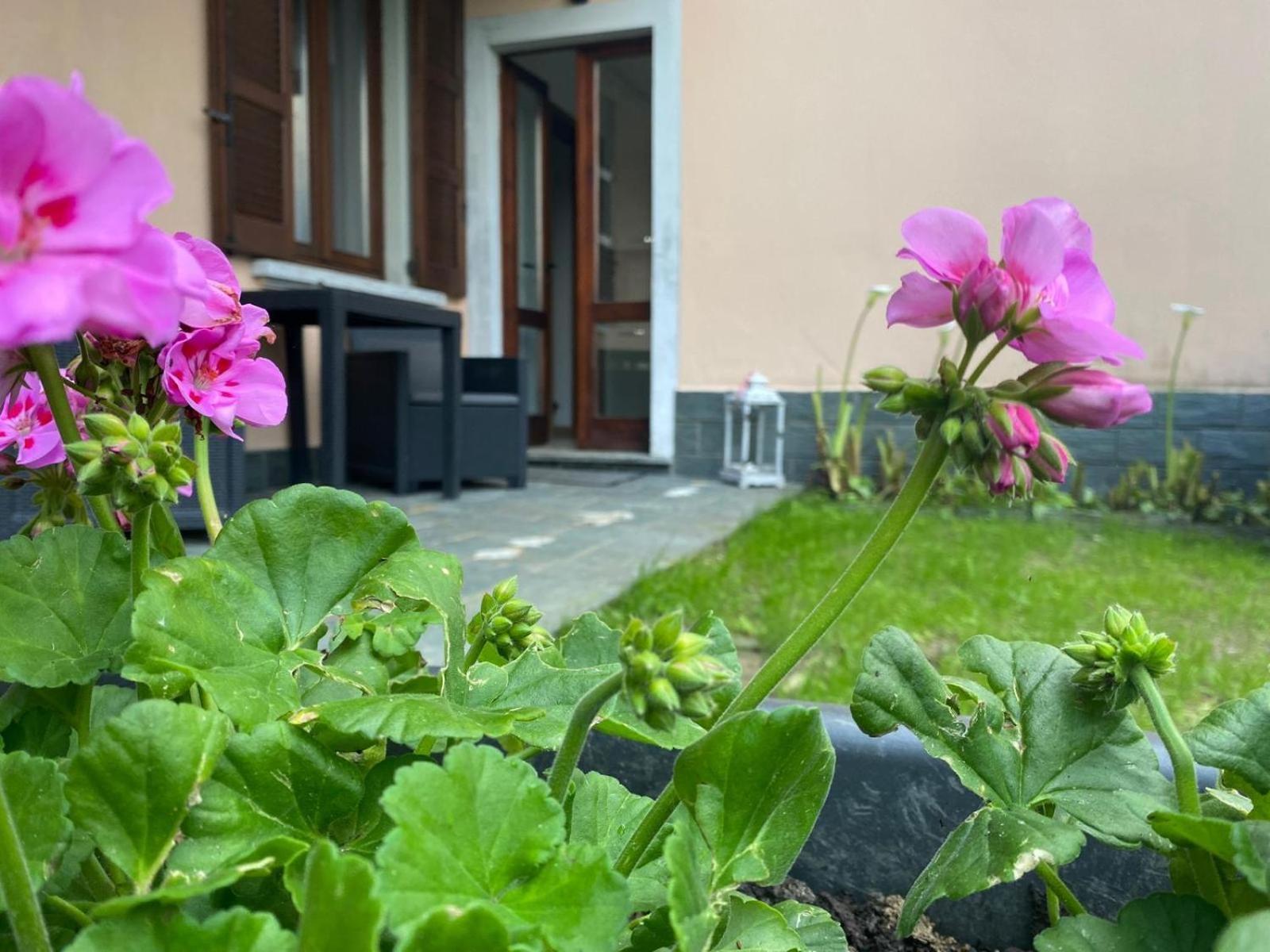 Peonia Apartment - Appartamento Vista Lago Lezzeno Kültér fotó